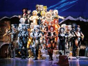 劇団四季「キャッツ」5年ぶり福岡公演決定、2027年2月からキャナルシティ劇場にて