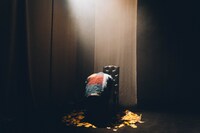 「『こころ』季節と朗読 by ライブナタリー」より。（Photo by Kana Tarumi）