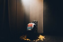 藤原季節が3組のアーティストと「こころ」を紡ぐ、「季節と朗読」開幕