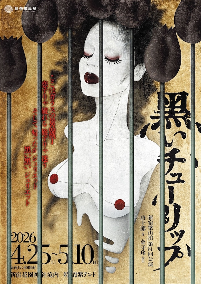新宿梁山泊 第81回公演「黒いチューリップ」チラシ表