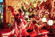 KYOTO NIPPON FESTIVAL 2026 イマーシブシアター「花宵の大茶会」より。