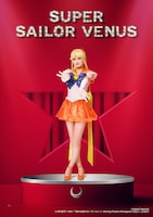 Team Silver Moonより、杉山月渚扮するスーパーセーラーヴィーナス / 愛野美奈子のキャラクタービジュアル。