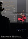 Noism0＋Noism1「私は海をだきしめていたい」 改訂版「春の祭典」チラシ表