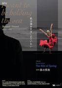坂口安吾生誕120年、金森穣がサティの音楽で「私は海をだきしめていたい」を舞踊詩に