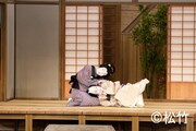 「四月大歌舞伎」夜の部「浮かれ心中」より。
