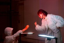 焚きびび no.2「グッド、バーニング」より。（撮影：高木陽春）