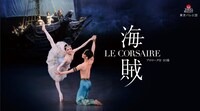 東京バレエ団「海賊」ビジュアル