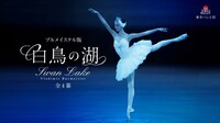 東京バレエ団「白鳥の湖」ビジュアル