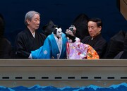 「令和8年5月文楽公演」第一部「『生写朝顔話』明石浦船別れの段」より。（撮影：二階堂健、提供：国立劇場）