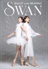 井桁弘恵ら出演、バレエマンガの舞台化「SWAN」リーディングキャストとビジュアルも公開