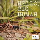 清水美紗都が振付・演出、虫たちにフォーカスしたダンス「HELLO, BIG HUMAN」