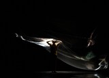 新国立劇場バレエ団 ダブル・ビルより、「String SAGA」の様子。（撮影：奥田祥智）