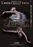 熊川哲也 K-BALLET TOKYO Autumn Tour 2026「白鳥の湖」ビジュアル ©Yumiko Inoue
