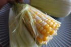 パンチのある味とは