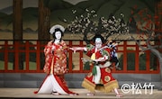 「市川團十郎特別公演」夜の部より、「義経千本桜 鳥居前」の様子。
