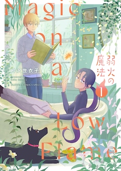 衿沢世衣子「弱火の魔法」1巻