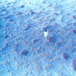 H△G「こだまでしょうか」