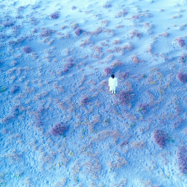 H△G「こだまでしょうか」ジャケ写