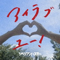 シベリアンハスキー「コンソメスープ」