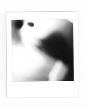 「綾門優季 / 『予想で泣かなくてもいいよ』ワークインプログレス」ビジュアル