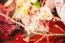 Mr.daydreamer「パイドン」ビジュアル