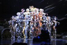 劇団四季 ミュージカル「キャッツ」過去公演の様子。（撮影：荒井健）