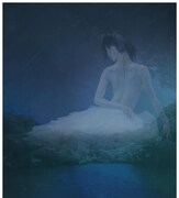 貞松・浜田バレエ団 創作リサイタル35「新制作 白鳥の湖『The Lake』」ビジュアル（撮影：岡タカシ）