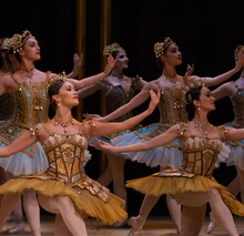 オーストラリア・バレエ団「ドン・キホーテ」より。（Photo by Rainee Lantry）