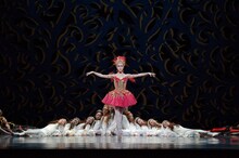 「火の鳥」より。（撮影：鹿摩隆司）