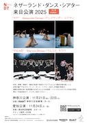 NDT2 [Nederlands Dans Theater]「ネザーランド・ダンス・シアター 来日公演」チラシ
