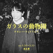 滋企画 第3回「ガラスの動物園」ビジュアル
