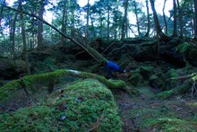 小泉明郎「火を運ぶプロメテウス」より。