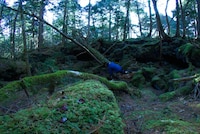 小泉明郎「火を運ぶプロメテウス」