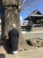 三条会「大谷ひかるのシンデレラ～尼寺修行編」