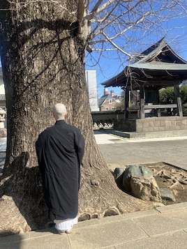 三条会「大谷ひかるのシンデレラ～尼寺修行編」