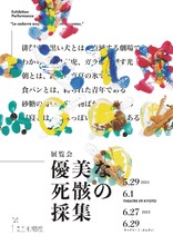 劇団三毛猫座 展覧会「優美な死骸の採集」チラシ表