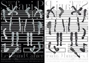サファリ・P 第11回公演「悪童日記」チラシ
