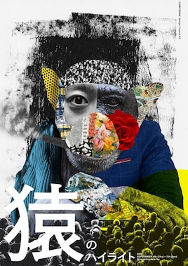 コンプソンズ大宮企画#3「猿のハイライト」