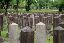 筒井潤「墓地の上演」ビジュアル