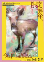 A級MissingLink 第29回公演「限定解除、今は何も語れない」チラシ表