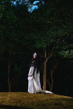 「ART歌舞伎2025～DEEP FOREST～」ビジュアル