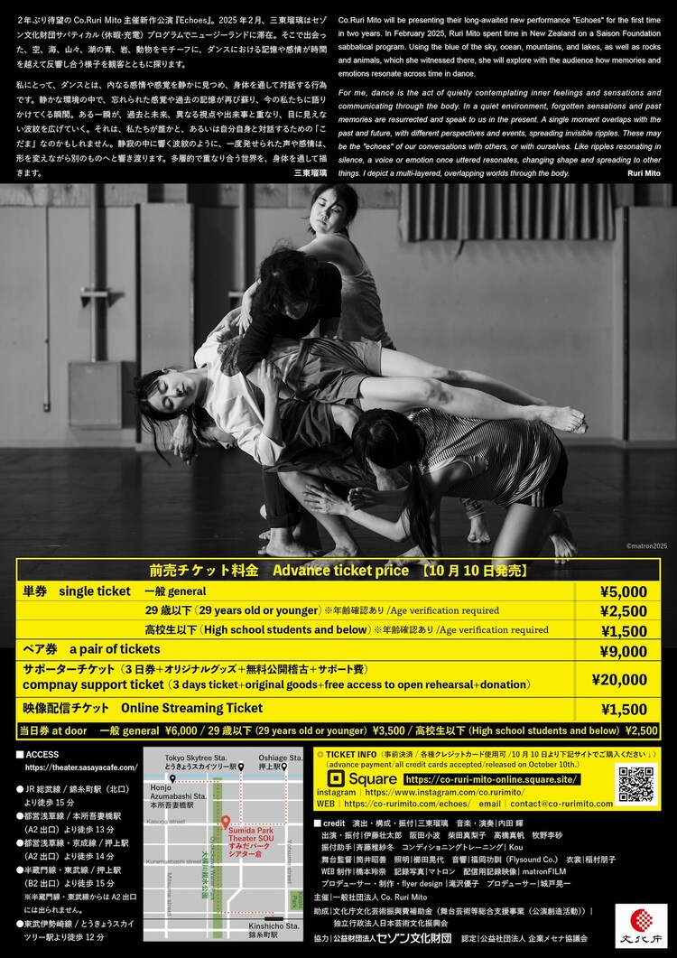 Co. Ruri Mito「Echoes」チラシ裏
