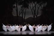 新国立劇場バレエ団「ラ・シルフィード」過去公演より。（撮影：瀬戸秀美）