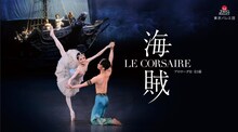 東京バレエ団「海賊」ビジュアル