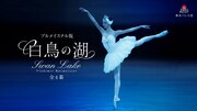 東京バレエ団「白鳥の湖」ビジュアル