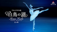 東京バレエ団「白鳥の湖」