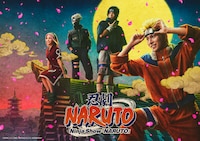 忍劇「NARUTO-ナルト-」
