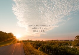 白黒ネコクション① 「空 -から-」