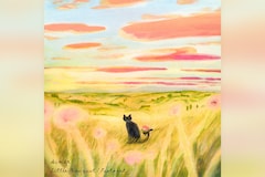 Aimer「Little Bouquet / Pastoral」インタビュー｜中国発の冒険ファンタジー「羅小黒戦記」から生まれた対照的な2曲