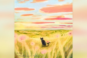 Aimer「Little Bouquet / Pastoral」インタビュー｜中国発の冒険ファンタジー「羅小黒戦記」から生まれた対照的な2曲